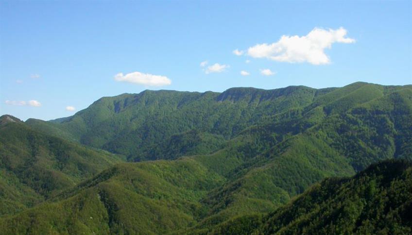 Parco Nazionale delle Foreste Casentinesi Parco Nazionale delle Foreste Casentinesi